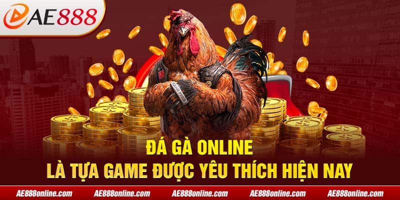  Đá gà online là tựa game được yêu thích hiện nay